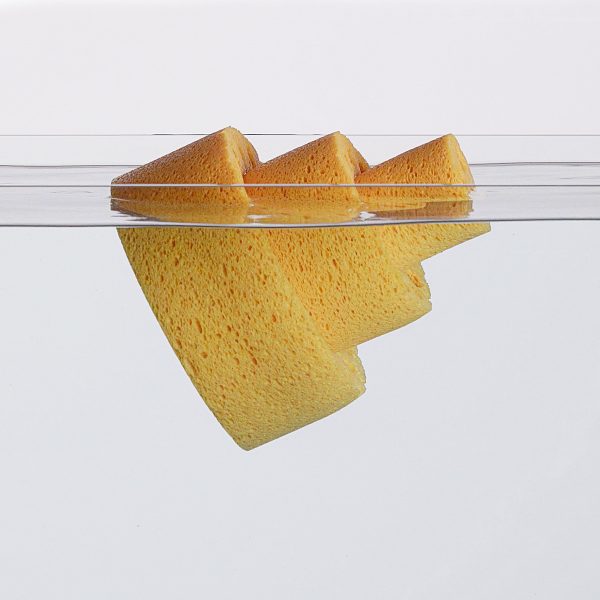 Photo of a piece of sponge floating on the water surface
