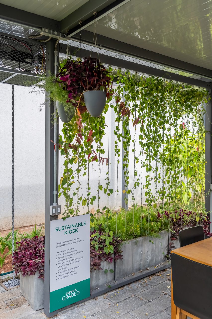 Patio with vines