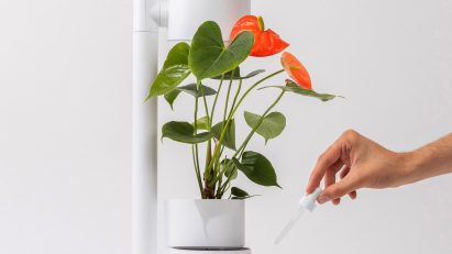 The Grow Lamp by Moss filled with flowers