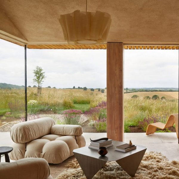 Organic modern living room interior