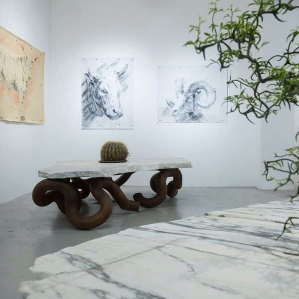 Photo of Nature's Crust exhibition
