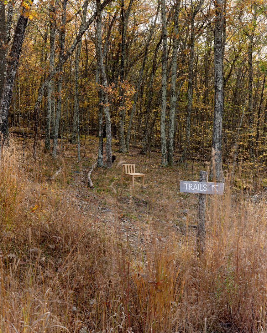 Chair in forest