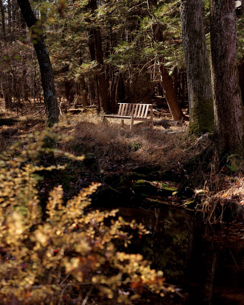 Chair in forest