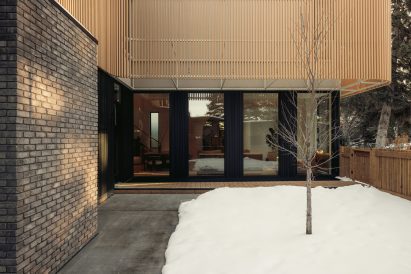 Small tree in courtyard
