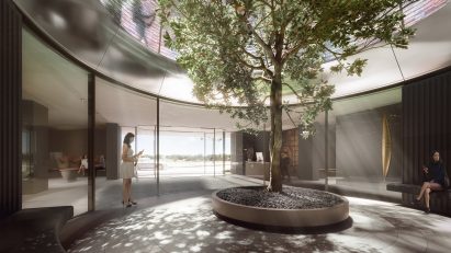A tree in a courtyard