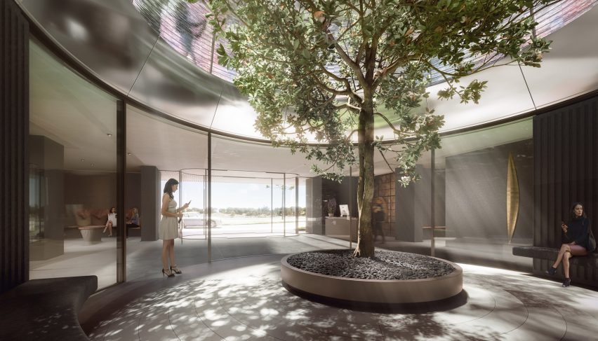 A tree in a courtyard