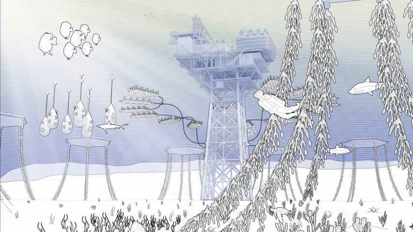 a diagram in tones of blue and white