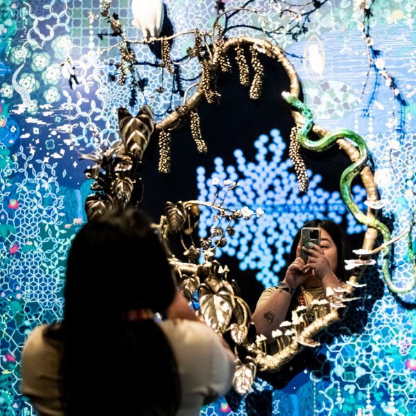 Photo of a person taking a photo in a mirror at the Biophilia exhibition at Denver Art Museum
