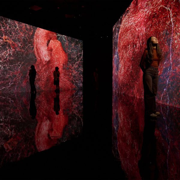 Photo of exhibition at Creative Days Vienna