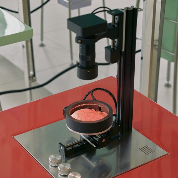 Microscope