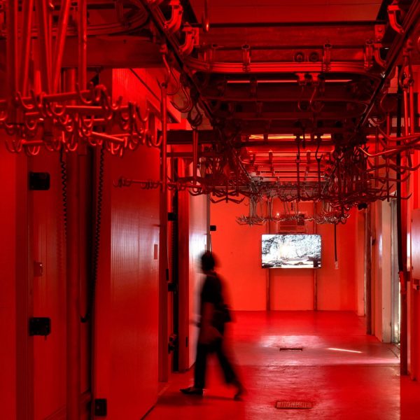 Anthropocene Museum by Cave Bureau