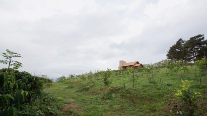 Landscape with Di Linh House by k59 Atelier