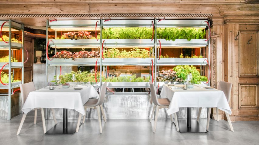 Restraurant of Hotel Seegarten by Studio Aisslinger