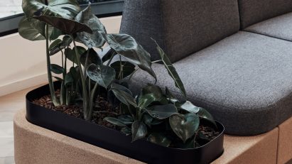 Close-up of planter on Tejo sofa by Paul Crofts for Isomi