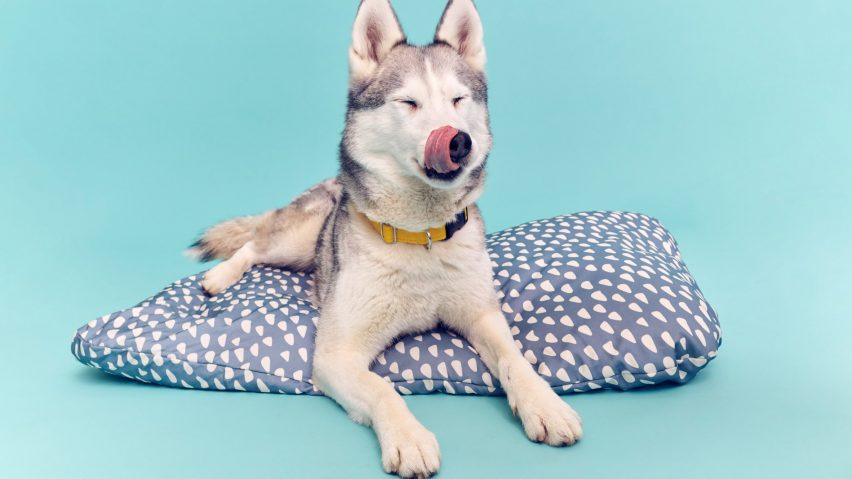 IKEA pet range
