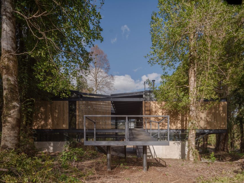 House in forest