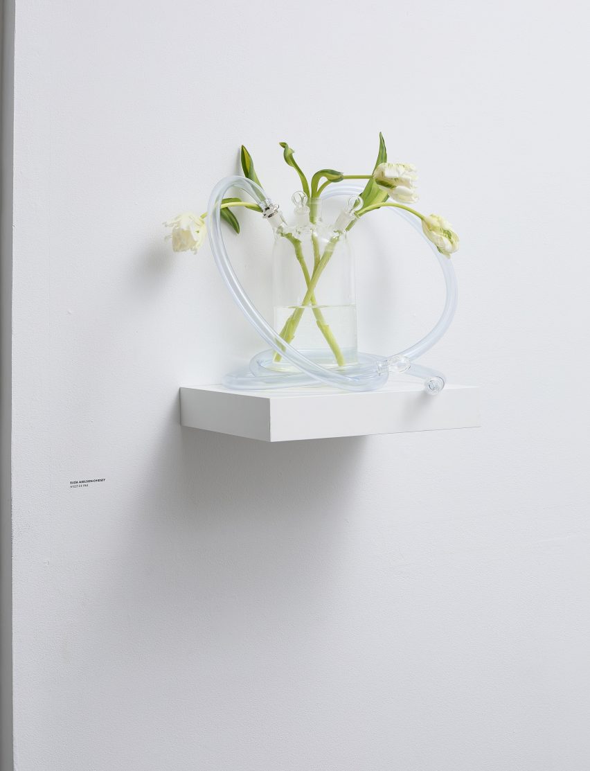 Plants on a wall