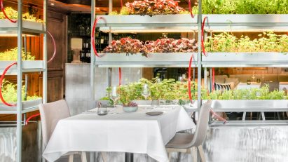 Restraurant of Hotel Seegarten by Studio Aisslinger