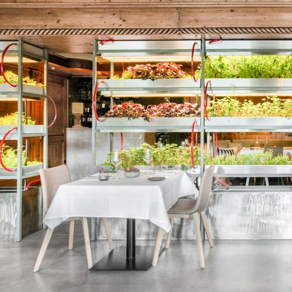 Restraurant of Hotel Seegarten by Studio Aisslinger