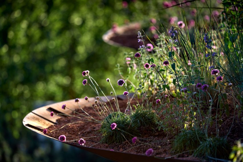 Detail of flowers in WaterAid pavilion