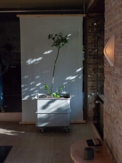 A Calm Place exhibition by Objective Studies at Refugio