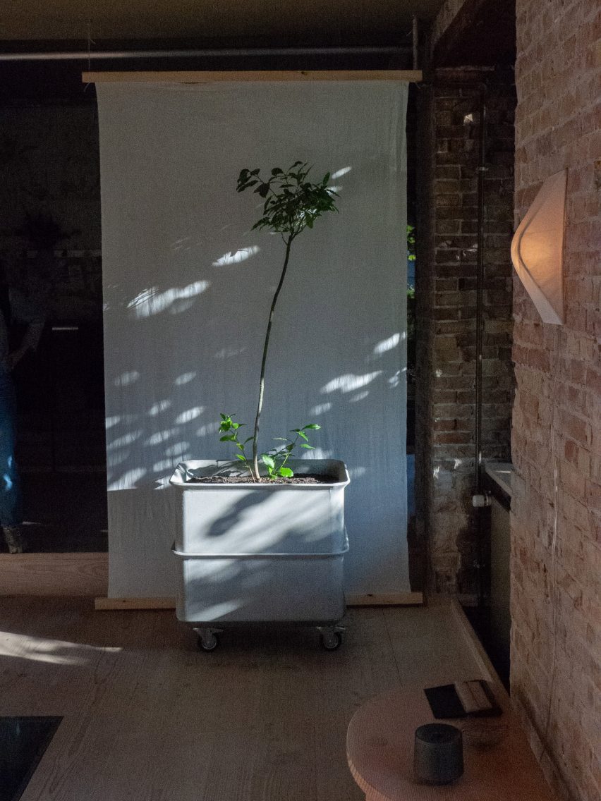 A Calm Place exhibition by Objective Studies at Refugio