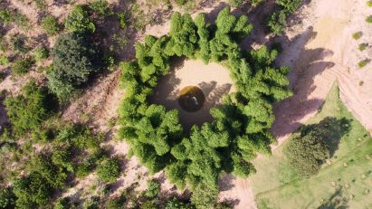 Bamboo tree pavilion from above