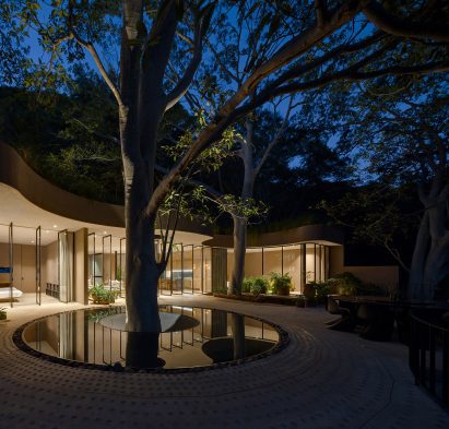 Tree within a ring-shaped pool in front of an illuminated building