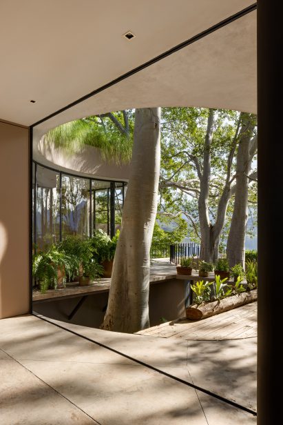 A tree growing through large holes in a building's floor and ceiling