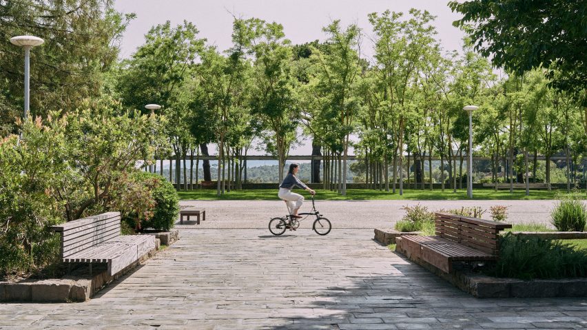 Woman cycling on a tree-lined path