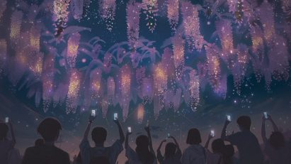 LFA fireworks competition