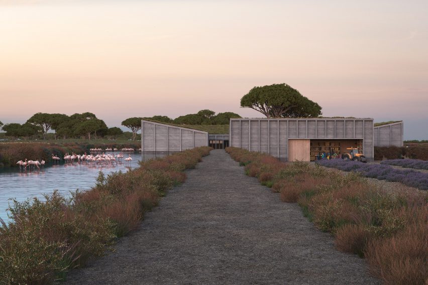 MAST to install hotel made of stilt houses in abandoned Portuguese salina