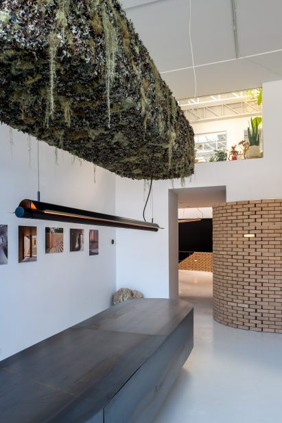 Mossy chandelier and brick lights