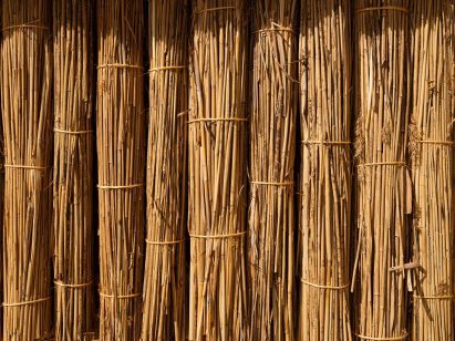 Reed cladding