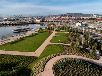 Paths winding through the site