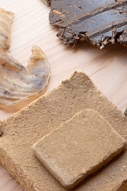Close up of wood-based biomaterials