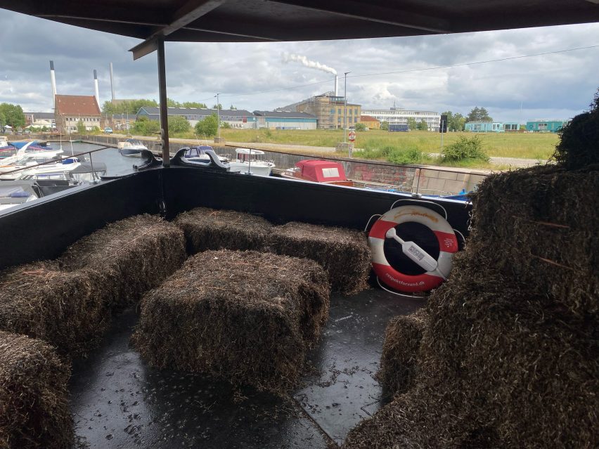 Søuld eelgrass sound insulation
