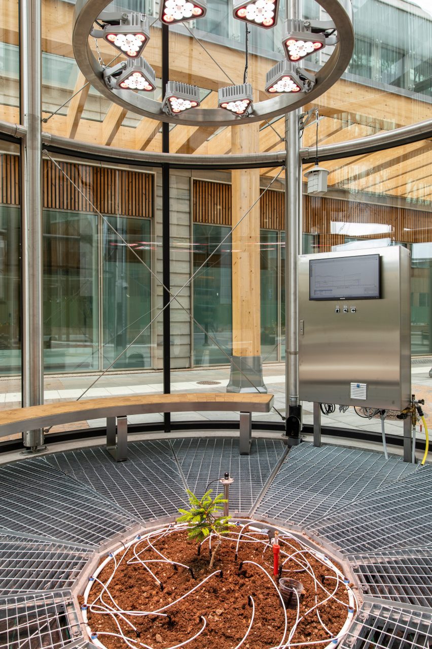 Spruce Time by Goldin+Senneby