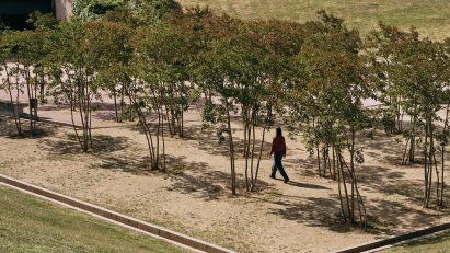 Landscaping by Urbidermis
