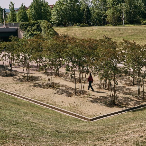 Landscaping by Urbidermis