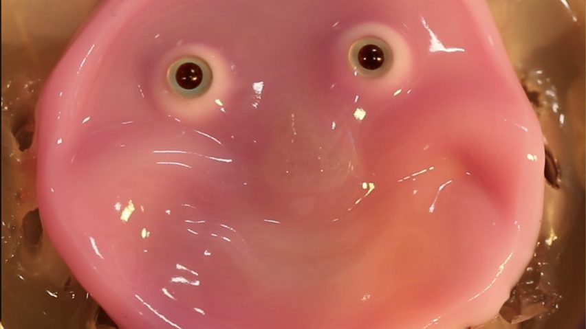 Living skin robot by University of Tokyo scientists