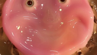 Living skin robot by University of Tokyo scientists