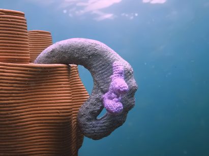 A photograph of an abstract brown and purple shape underwater.