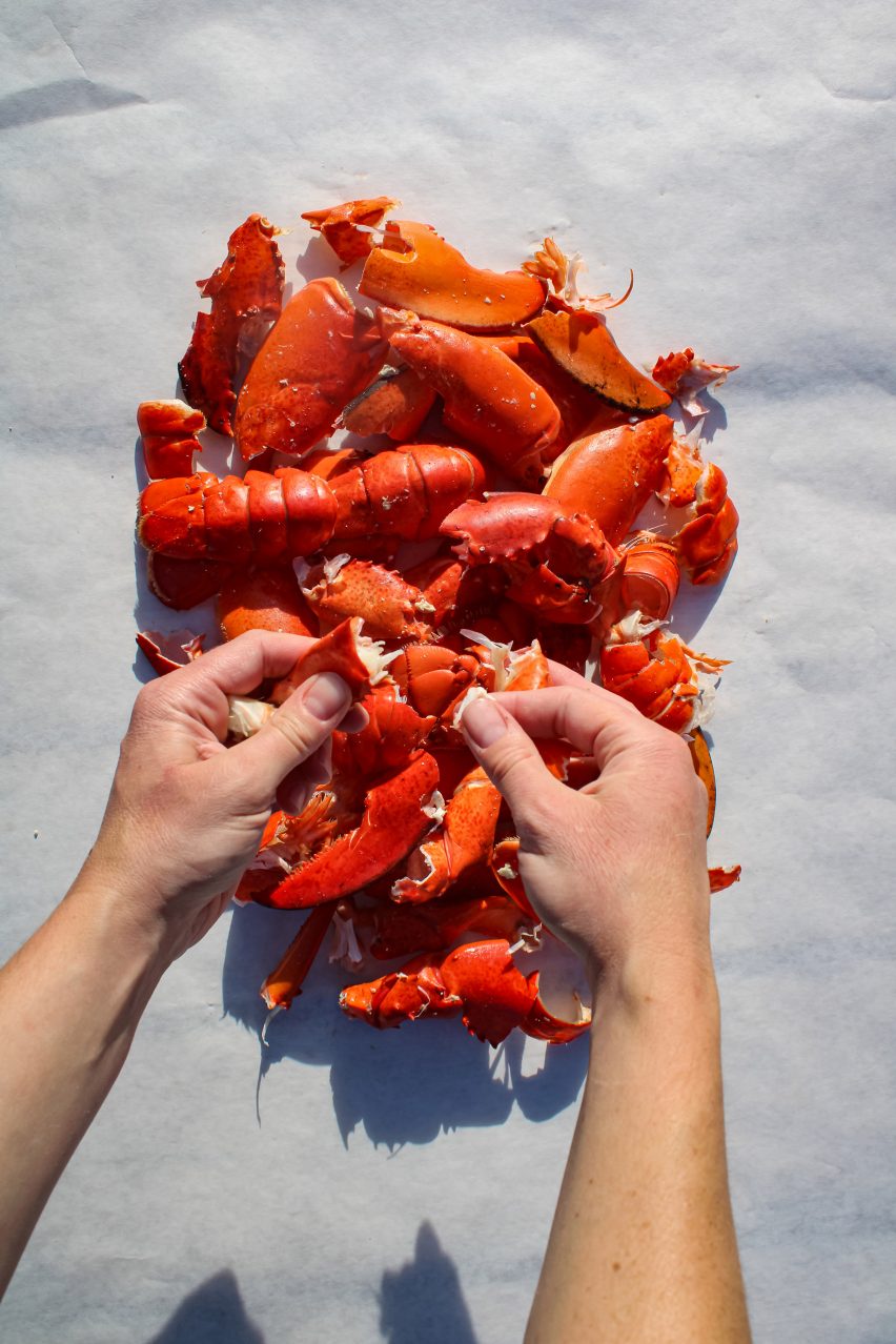 Lobsters being prepared to become 3D printing composite