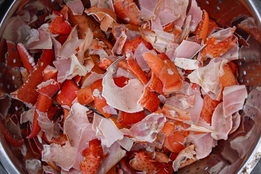 Lobsters being prepared to become 3D printing composite