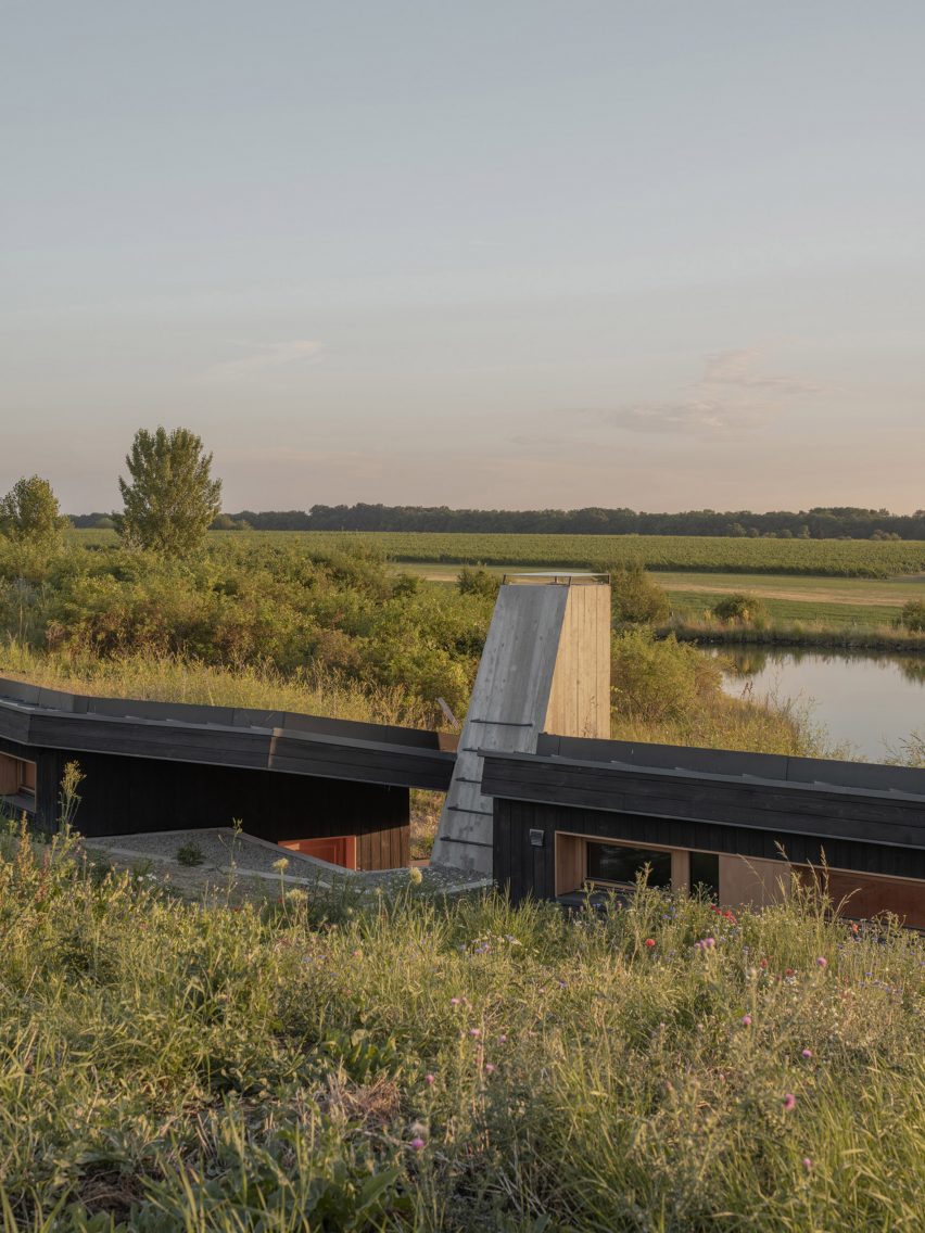CLT House by Hello Wood
