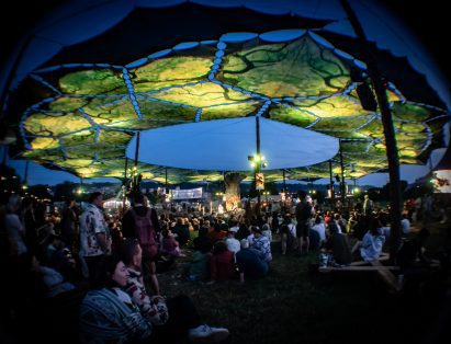 The Tree Stage by Lilith Piper