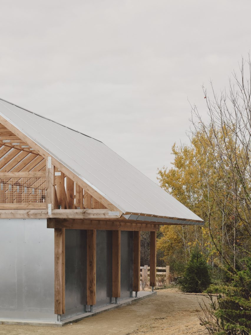 Timber structure with metal roofing