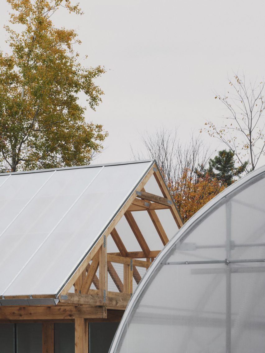 Timber structure and greenhouse