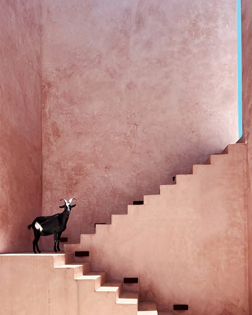UA House by Studio Mehta Architecture